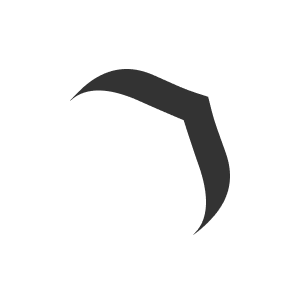 Brand Icon